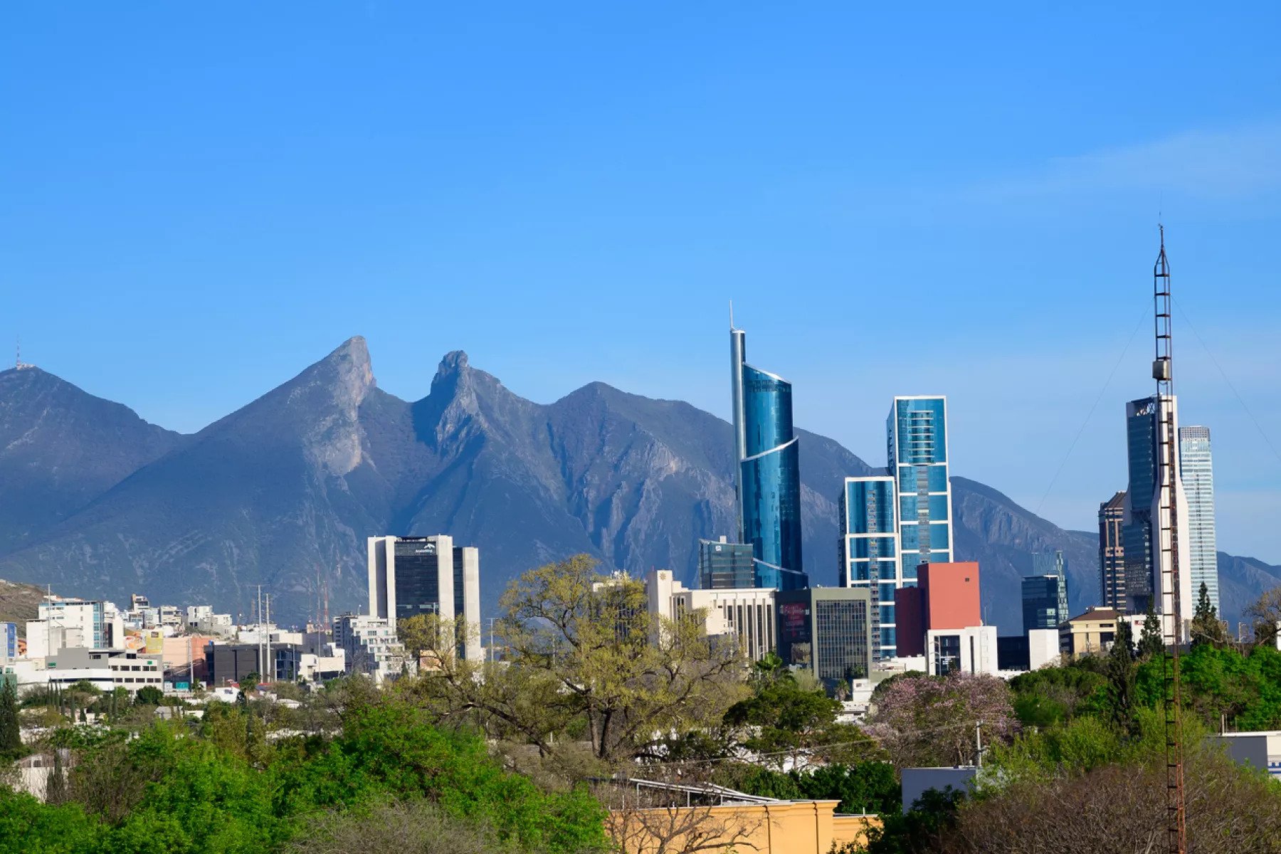 ARMTY Diplomado Anestesia Regional Monterrey Octubre 2024